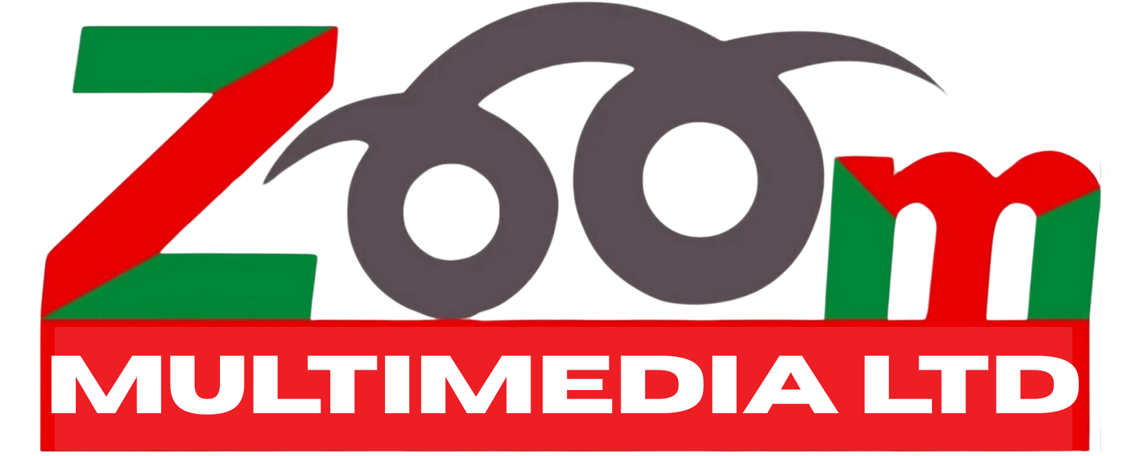 Zoom Multimedia Logo